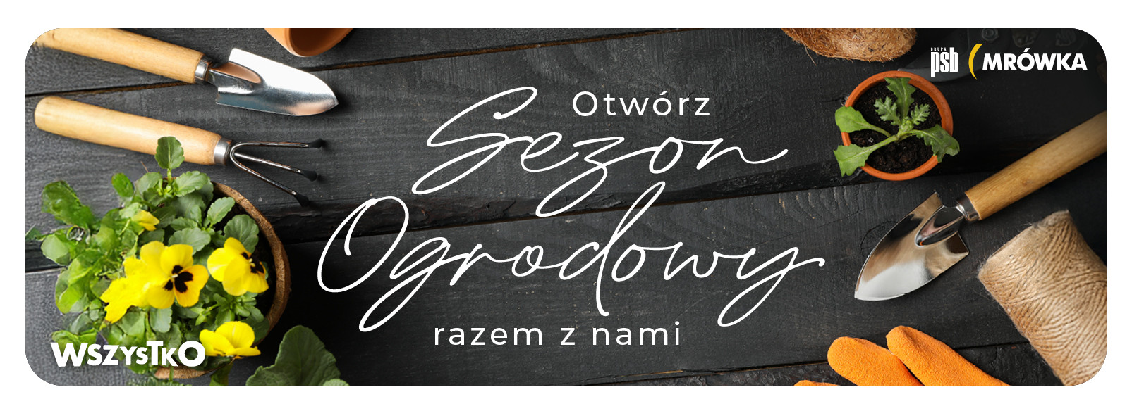 Grupa PSB mrowka Mrówka Powroźnik