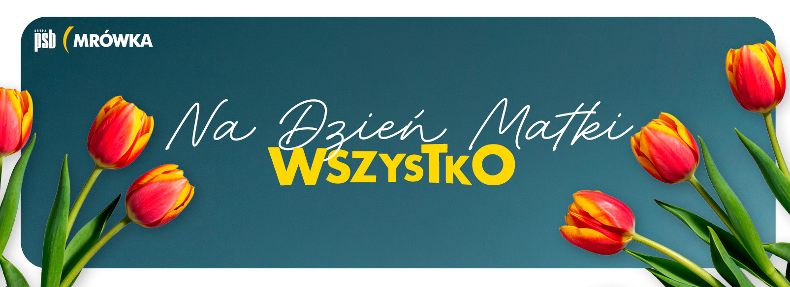 Grupa PSB mrowka Mrówka Powroźnik