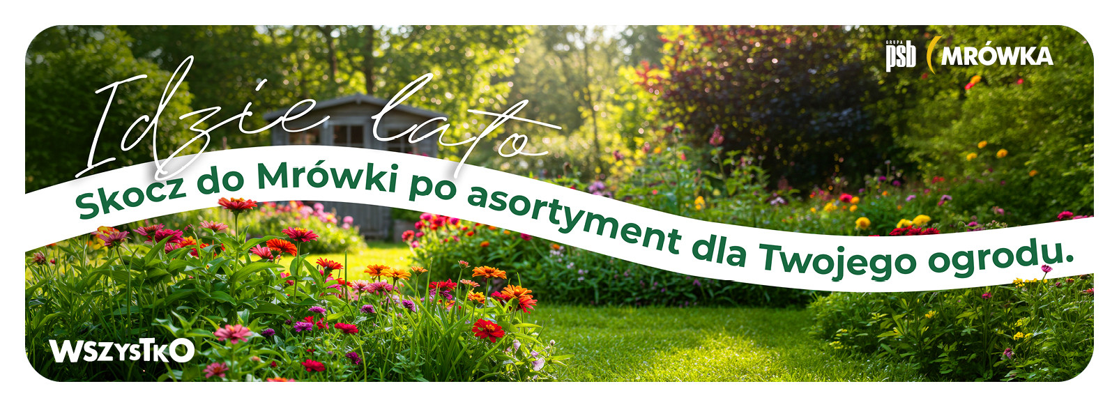 Grupa PSB mrowka Mrówka Powroźnik